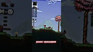 Top 10 Terraria Challenges 😱 #shorts #terraria