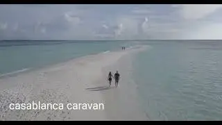 vacationers music