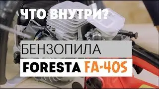 Chainsaw Foresta FA-40S. What is inside?