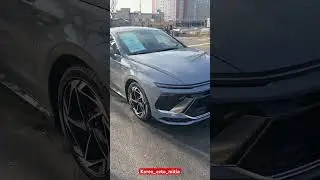 Sonata 2024