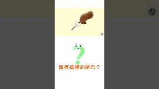 Guess the Animal!猜猜看是什麼動物