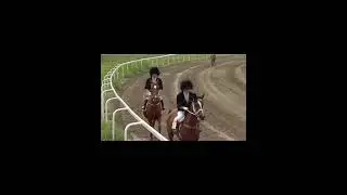 Лошадь Чеченской породы