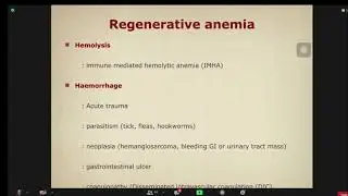 Disease of Blood system