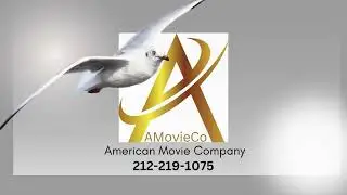 Silver Birds Video