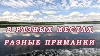 Погода ДИКТУЕТ КЛЁВ ЩУКИ! В Разных местах разные приманки в ОДИН ДЕНЬ!