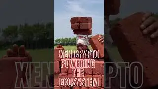 Xen Crypto: The Dynamic Force Fueling Growth and Innovation in the XEN Ecosystem