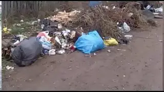 Житель Благовещенска РБ обратил внимание на безобразие с мусором по ул. Старикова