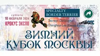 Specialty «Бордер Терьер», 10.02.2024, Крокус Экспо