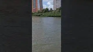 Невозмутимый рыбак