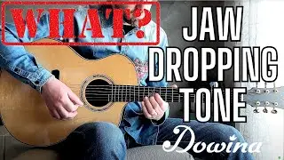 TONE Showcase!!! Dowina Cocobolo Master Series acoustic guitar - Carl Miner cover