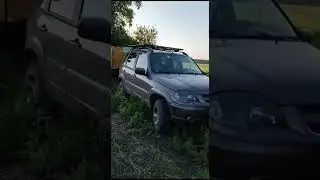 24 мая перевезли пасеку с рапса и готовим семьи к акации