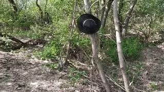 Наша полянка на Свияге.