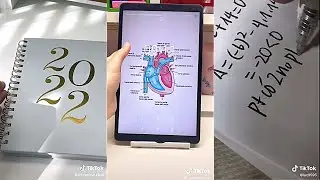 Study With Me ASMR #14