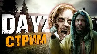 [Стрим] DayZ | Выживаем на ВАНИЛЛЕ (с)Meksikanec
