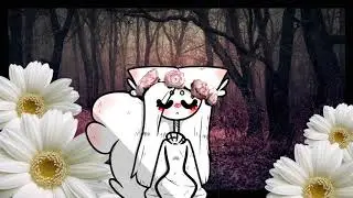 --_i hope you love me back_--|MeMe|