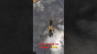 Rick and Morty Squirrel Moment!