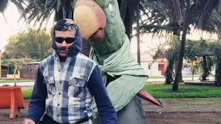 EL BATE | Daviid Silva ok