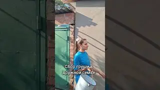 так выглядит настоящая дружная семья🤣