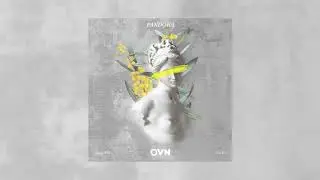 OVN - Pandora (feat. YoungMAN , True KIM) (Official Audio)