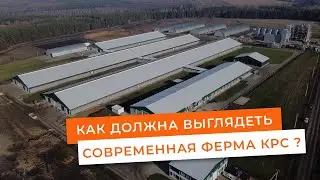 Как должна выглядеть современная ферма КРС?