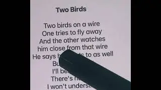 Enjoy Two Birds! Credits to: @neweasyguitartabs