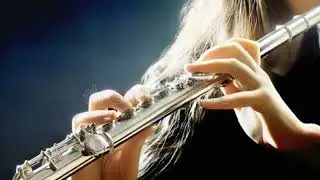 #Beautiful Music #Flute Music