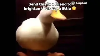 Send his to your best friend to brighten their day a bit!