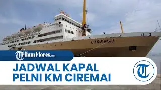 Jadwal Kapal Pelni 12 – 23 November 2024, KM Ciremai dari Baubau ke Makassar Hingga Tanjung Priok