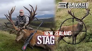 STAG Hunting NEW ZEALAND GIANTS!!