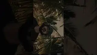 Miyagi/Andy Edit 4k