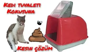 Evinizde kedi tuvaleti kokusuna kesin çözüm. The definitive solution to cat toilet smell in 'ur home