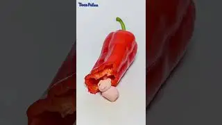 Pig eats hot pepper #pig