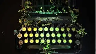 Typewriter Animation Beauty Pass