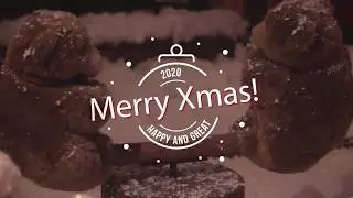 Merry Christmas and a Happy New Year 2020!!!