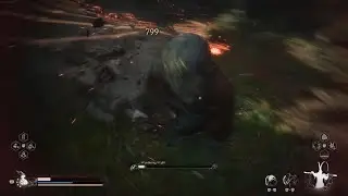 Black Myth Wukong How To Get Wukong Stance Easily