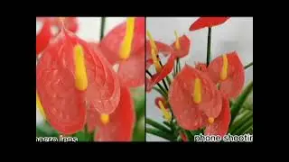 Линза для камеры