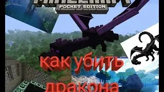 Как убить дракона края в minecraft pe [ помощь ]