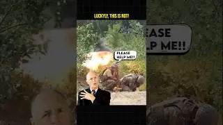 When Mortar Goes Wrong!