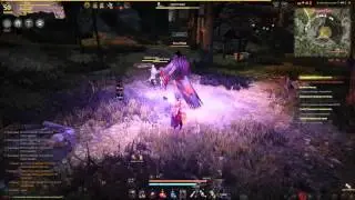[Black Desert] Хекса Мари. Колдунья. Соло.