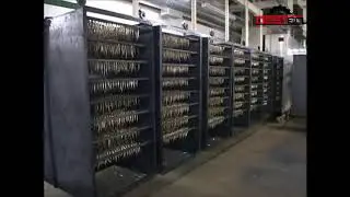 Линия производства шпрот