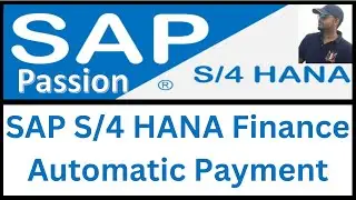Automatic payment run in SAP S/4 HANA Finance | FBZP