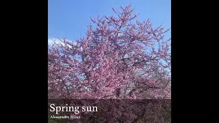 Spring sun - Alessandro Minci