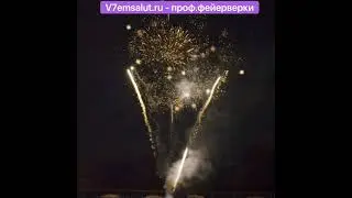 Профессиональный фейерверк волшебный цветок. Отличное решение на любой важный праздник.