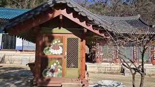 2024년 2월 3일