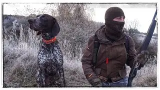 Autumn walking hunt with a Kurzhaar!