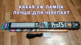 Какая ультрафиолетовая лампа лучше для черепах?