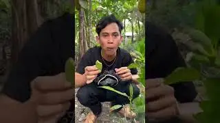 bagi lord anggun manis..☺️