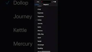 iOS 17 New iPhone 15 Pro ringtones!