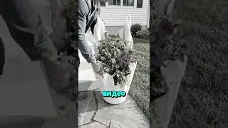 Ожидание и реальность!