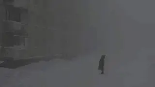 Васька, подай мяч пожалуйста
